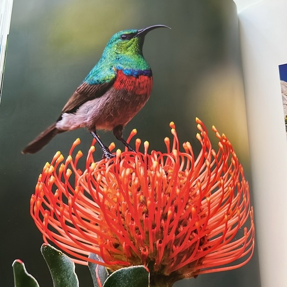 Hard Cover Book, large collection coffee table book, travel sights countries - Picture 12 of 13